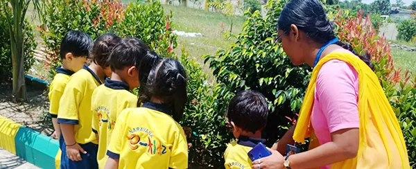 Environmental and social awareness campaigns